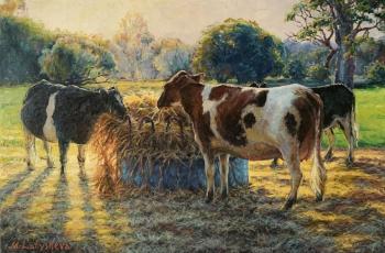 Cows in the evening ( ). Latysheva Maria