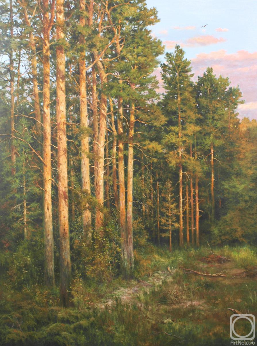 Dorofeev Sergey. Pine forest at sunset