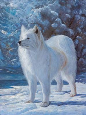 Samoyed (White Dog). Kamskij Savelij