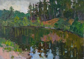 A river in the forest (Reflection In The Water). Vilkova Elena