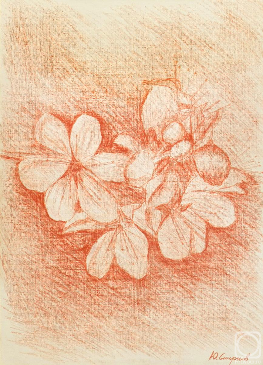 �������. ������� ����. �������� ���������