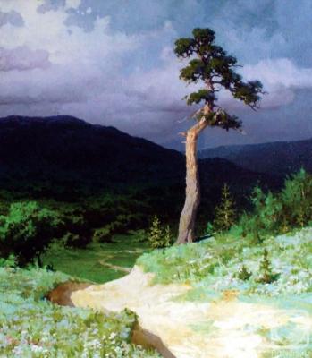 A ray before a thunderstorm (Landscape Thunderstorm). Fedorov Mihail