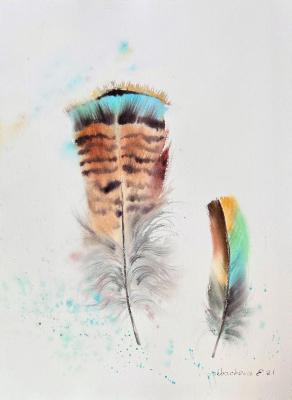 Feathers #5 (A Feather). Gorbacheva Evgeniya