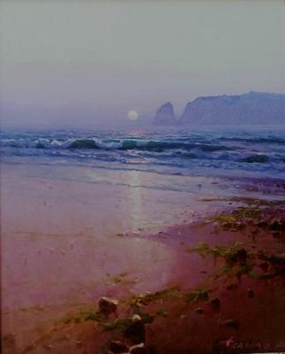 Low tide (Beach Painting). Fedorov Mihail