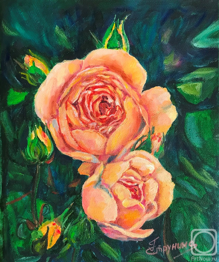 ������� ������ �� ������. �������� ������. ������ ����