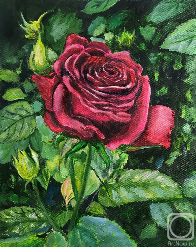 �������. �������� ������. ������� ����