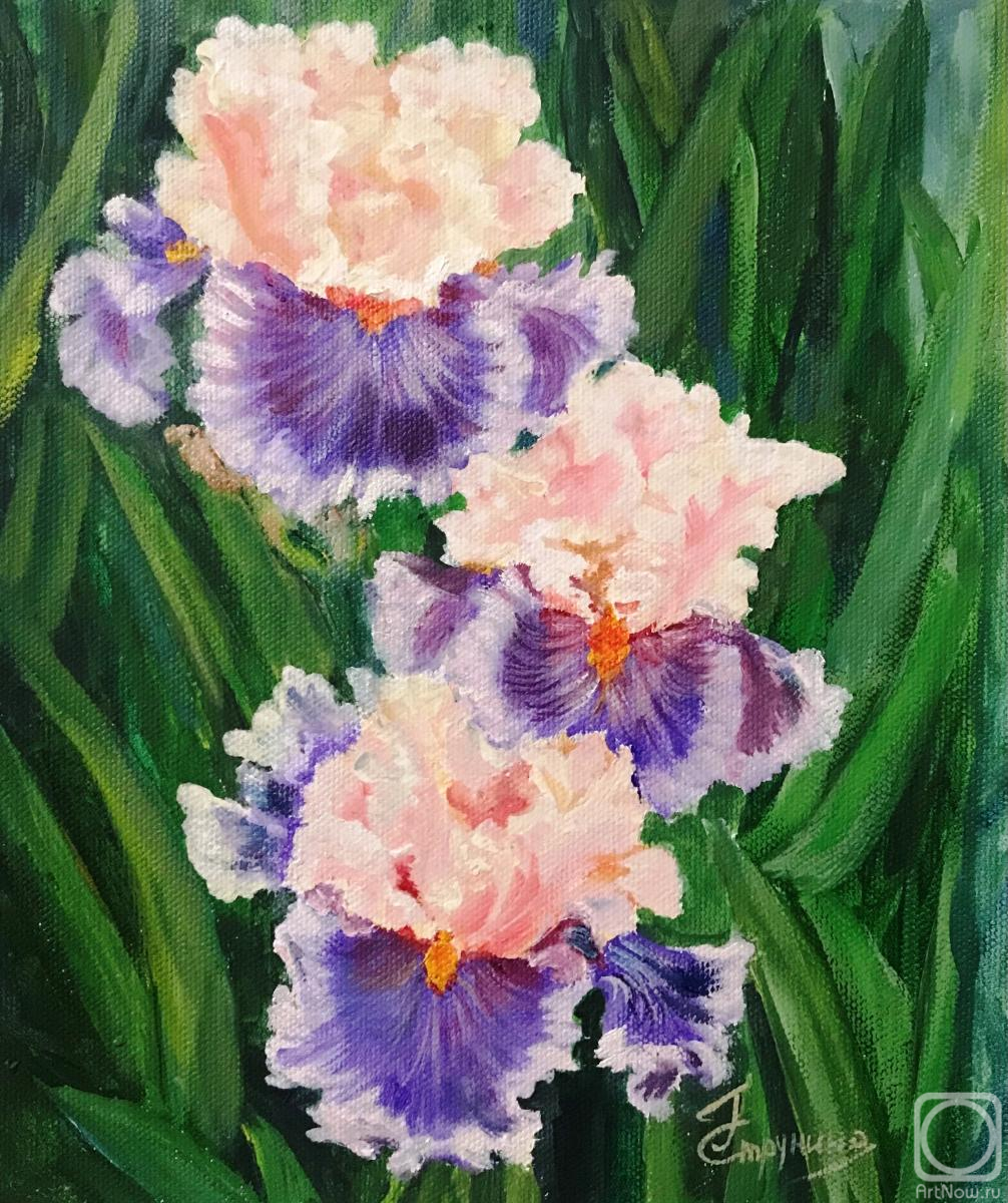 ������� ������ �� ������. �������� ������. �����