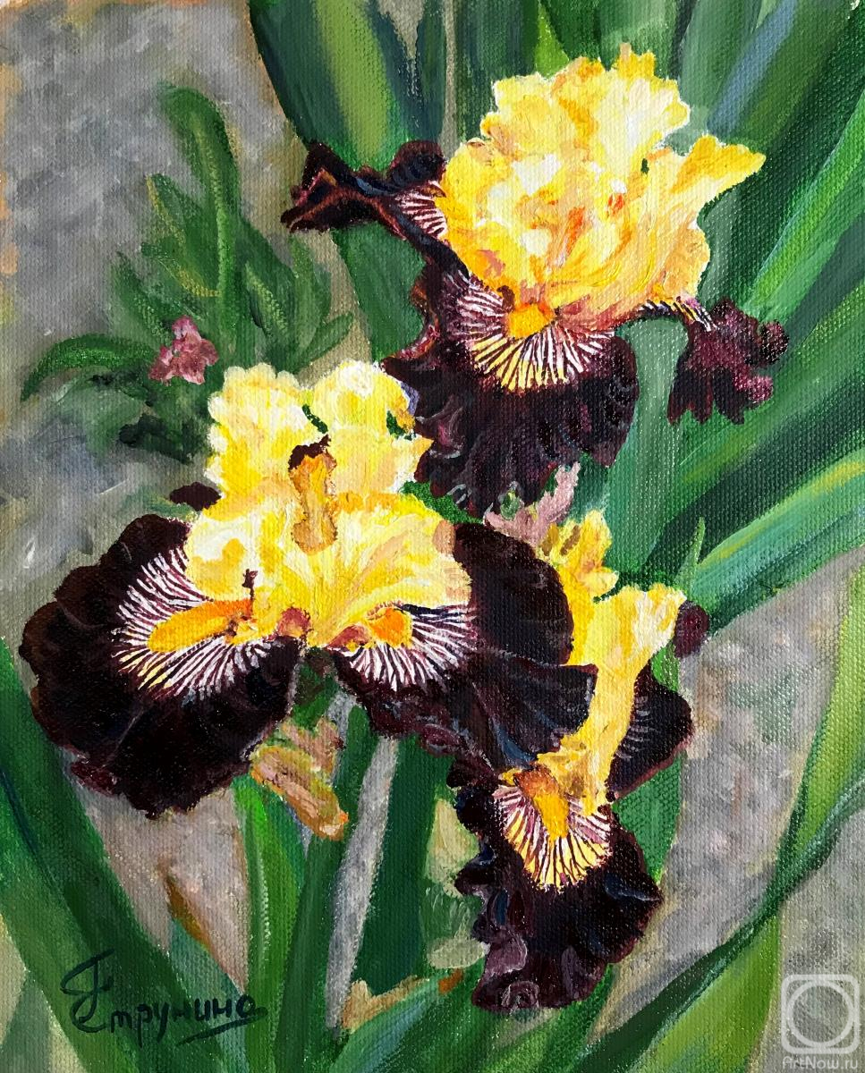 ������� ������ �� ������. �������� ������. �����