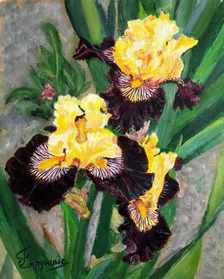 Irises. Strunina Galina