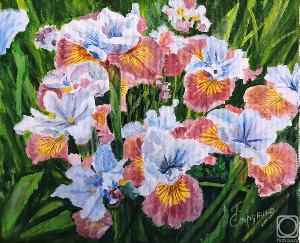 �������. �������� ������. �����