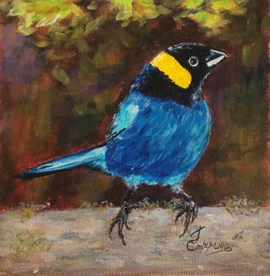 ������� �������