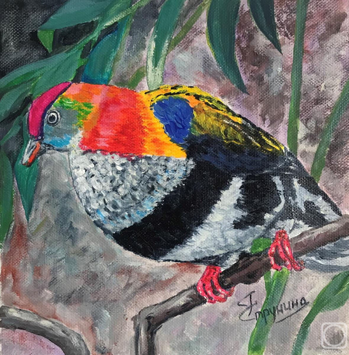 �������. �������� ������. ������ ��������� �������