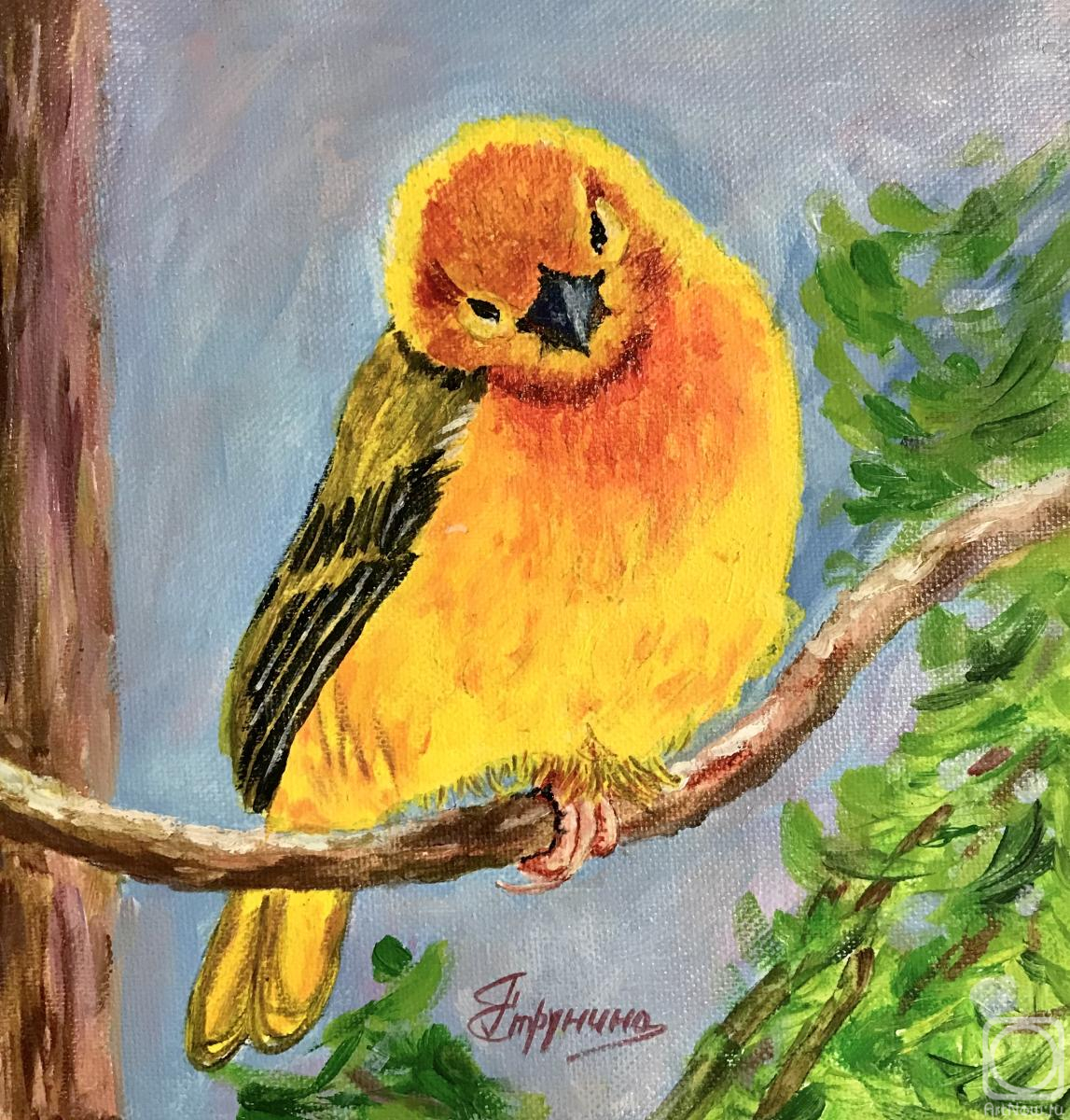 �������. �������� ������. ������ ���������� ����