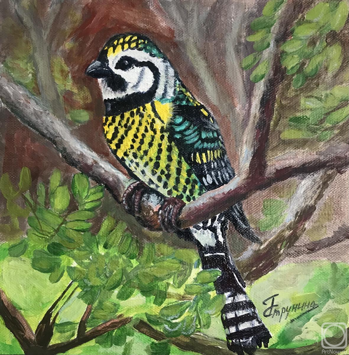 �������. �������� ������. ������