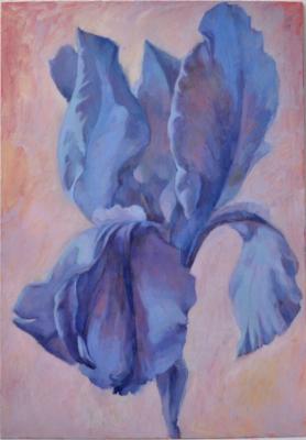 Blue iris. Abrikosova Stefanida