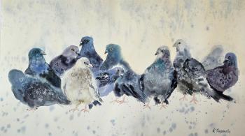 A Different Among His Own (Pigeons). Polzikova Oksana