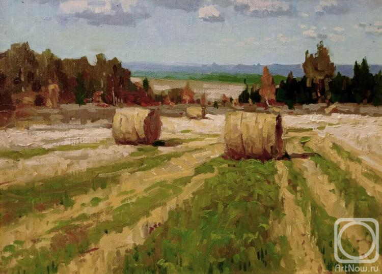 Fedorov Mihail. Autumn fields