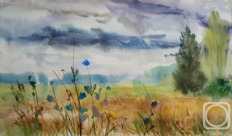 Goryushkina Anastasiya. Cloudy day