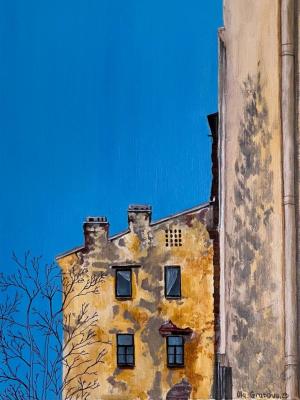 Houses in the area of Suvorovsky Prospekt. Grabova Olga