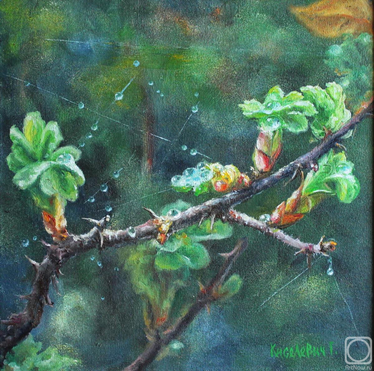 ������� ������ �� ������. ��������� ��������. ��������