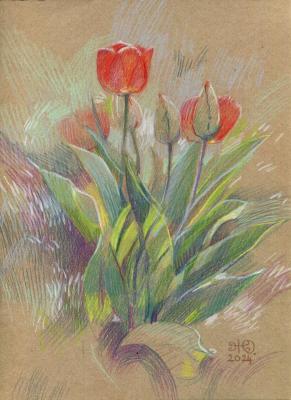 Tulips 1. Zhukovskaya Yuliya