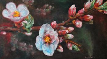 Cherry blossom (  ). Kiselevich Gennadiy