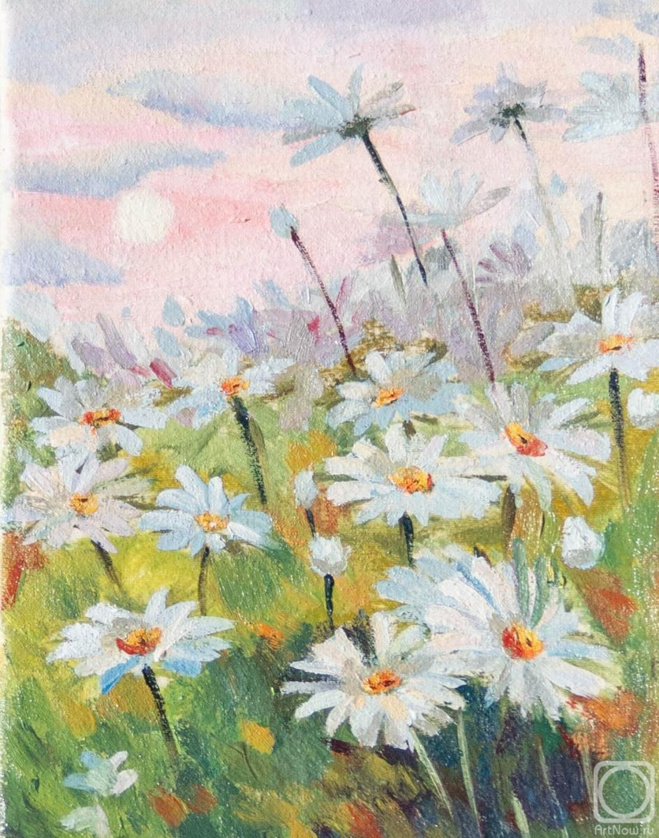 Kritskova Alyona. Daisies, tenderness