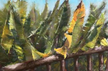 ������ ������. �������� ����