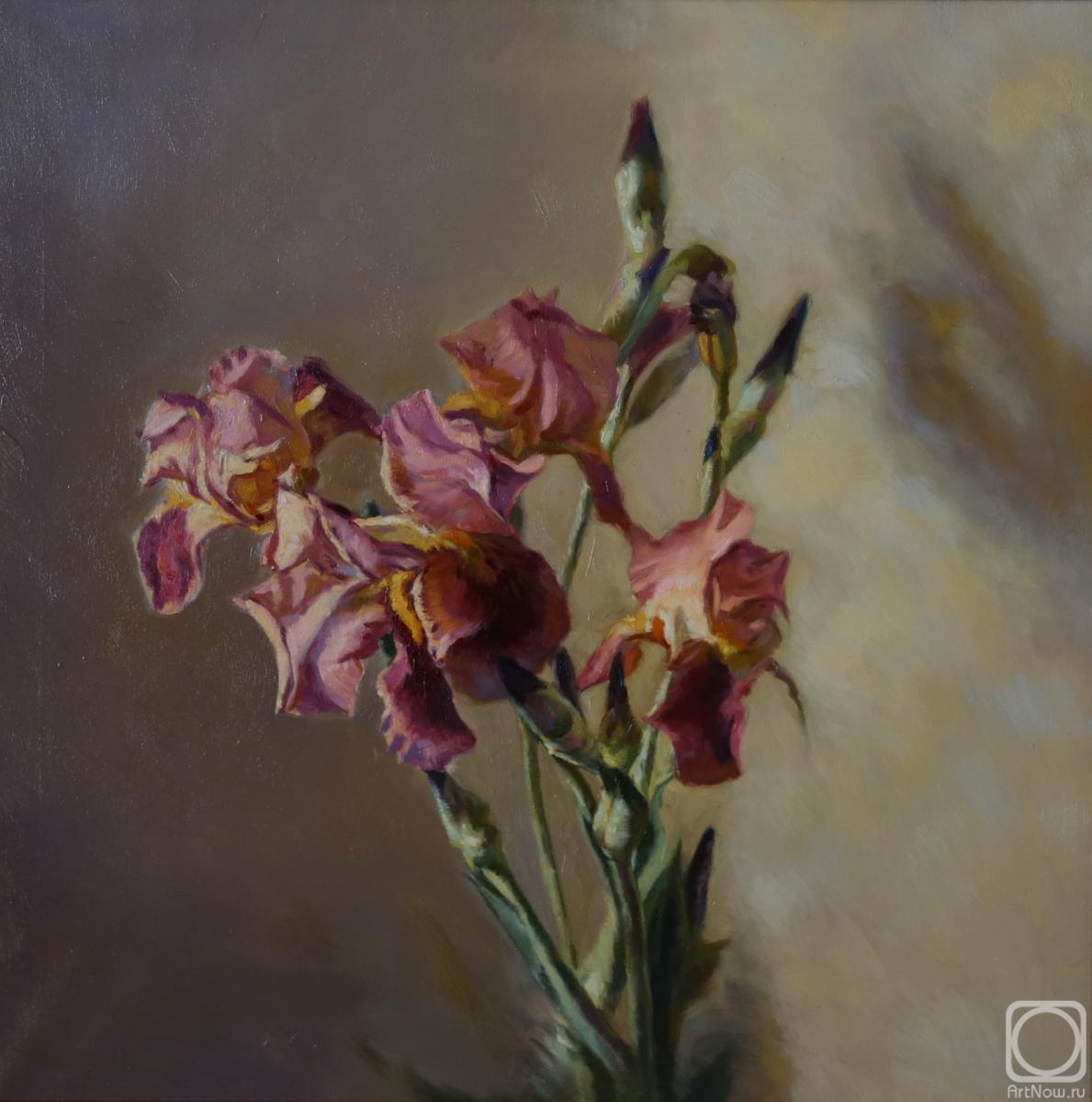 ������� ������ �� ������. ����� �������. �����