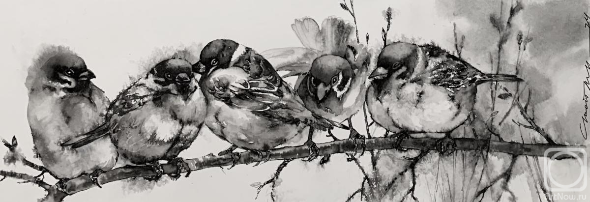 Stoylik liudmila. Sparrows