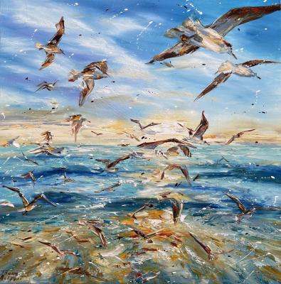 Gulls (Sea Gulls). Malivani Diana