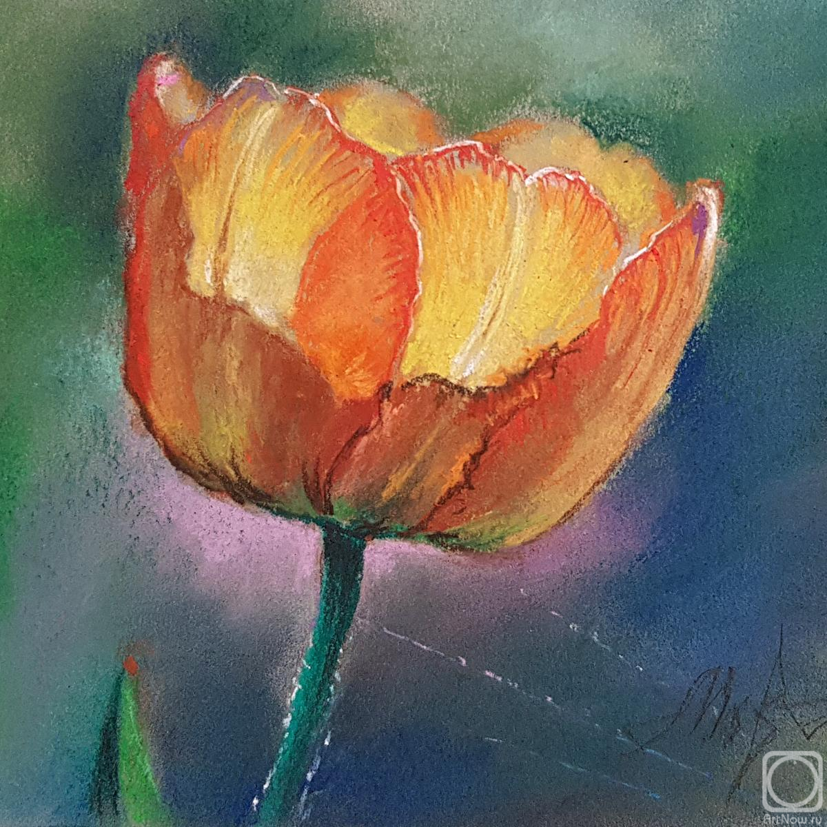 �������. �������� ������. ������������ �������