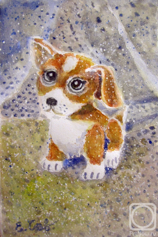 �������. ��������� �����. �����