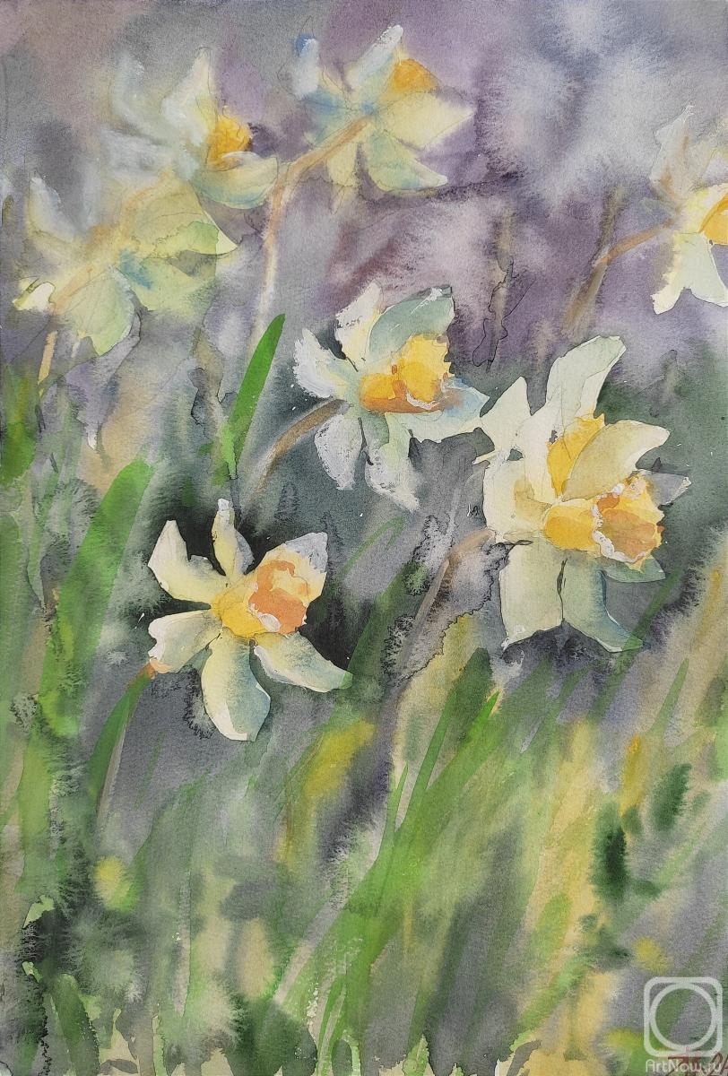 Kubovskaya Yana. Daffodils
