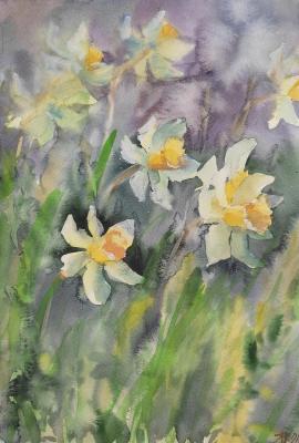 Daffodils. Kubovskaya Yana