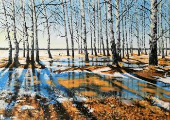 Birch (Shadows Of Trees). Gribanov Igor