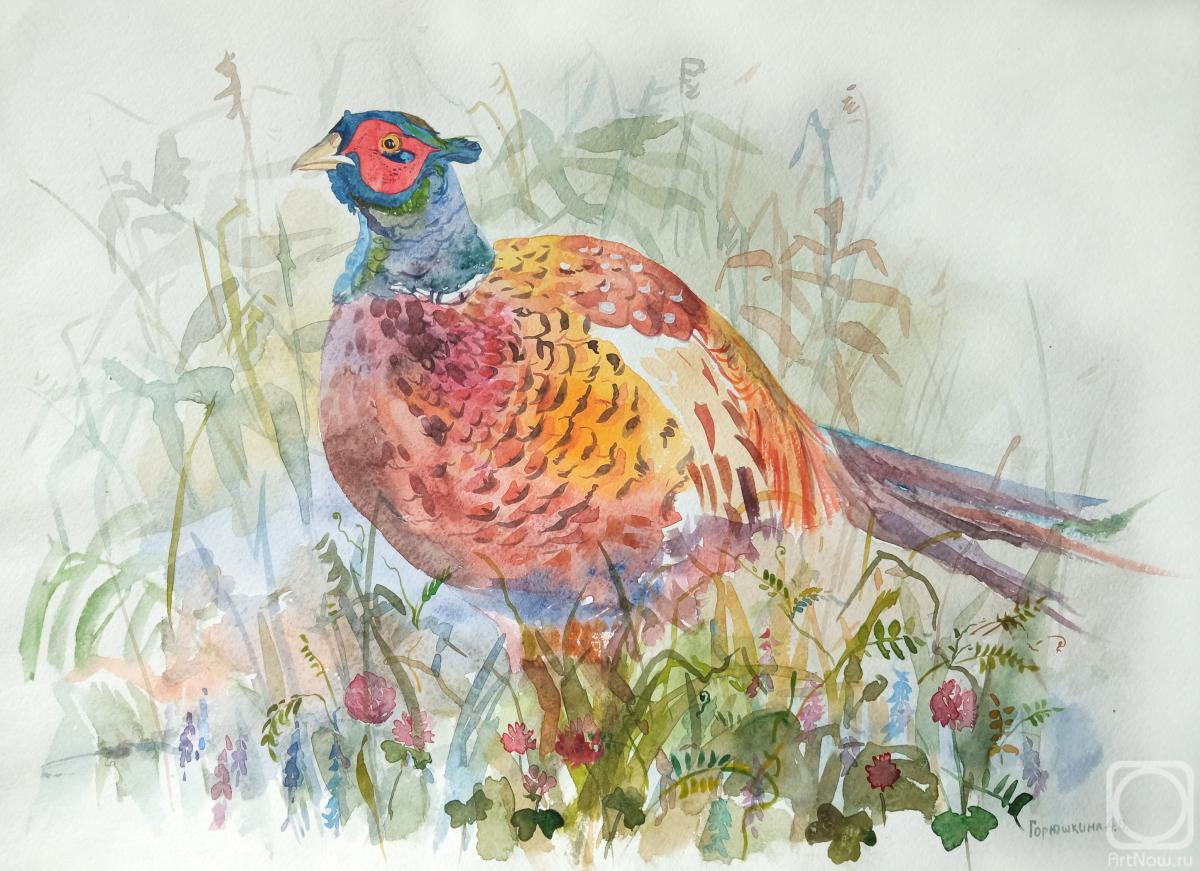 Goryushkina Anastasiya. Pheasant