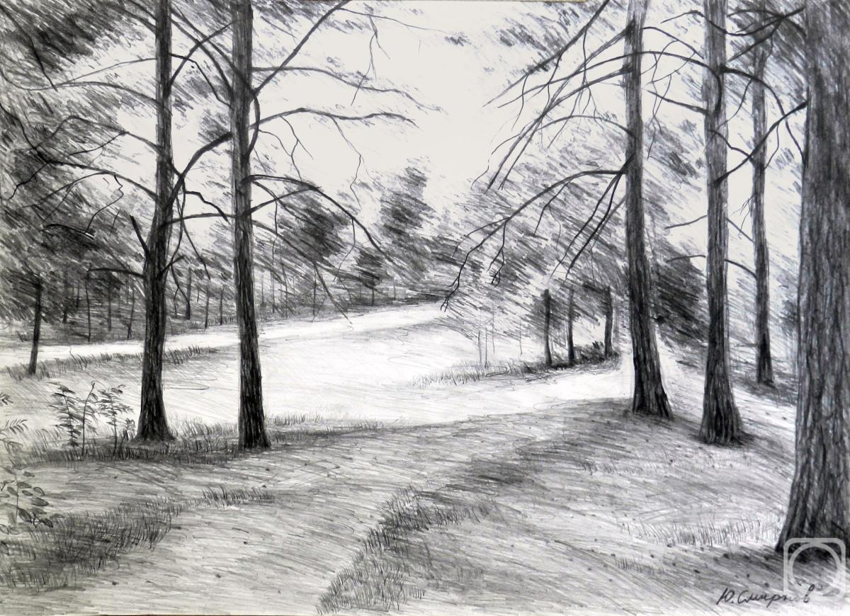 �������. ������� ����. ���������� ����