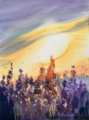 Lavender sunset (Lavender Field). Gorbacheva Evgeniya