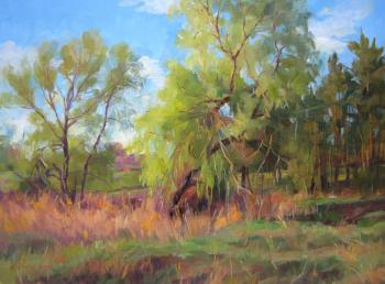 The willow is turning green (The Reeds). Voronov Vladimir