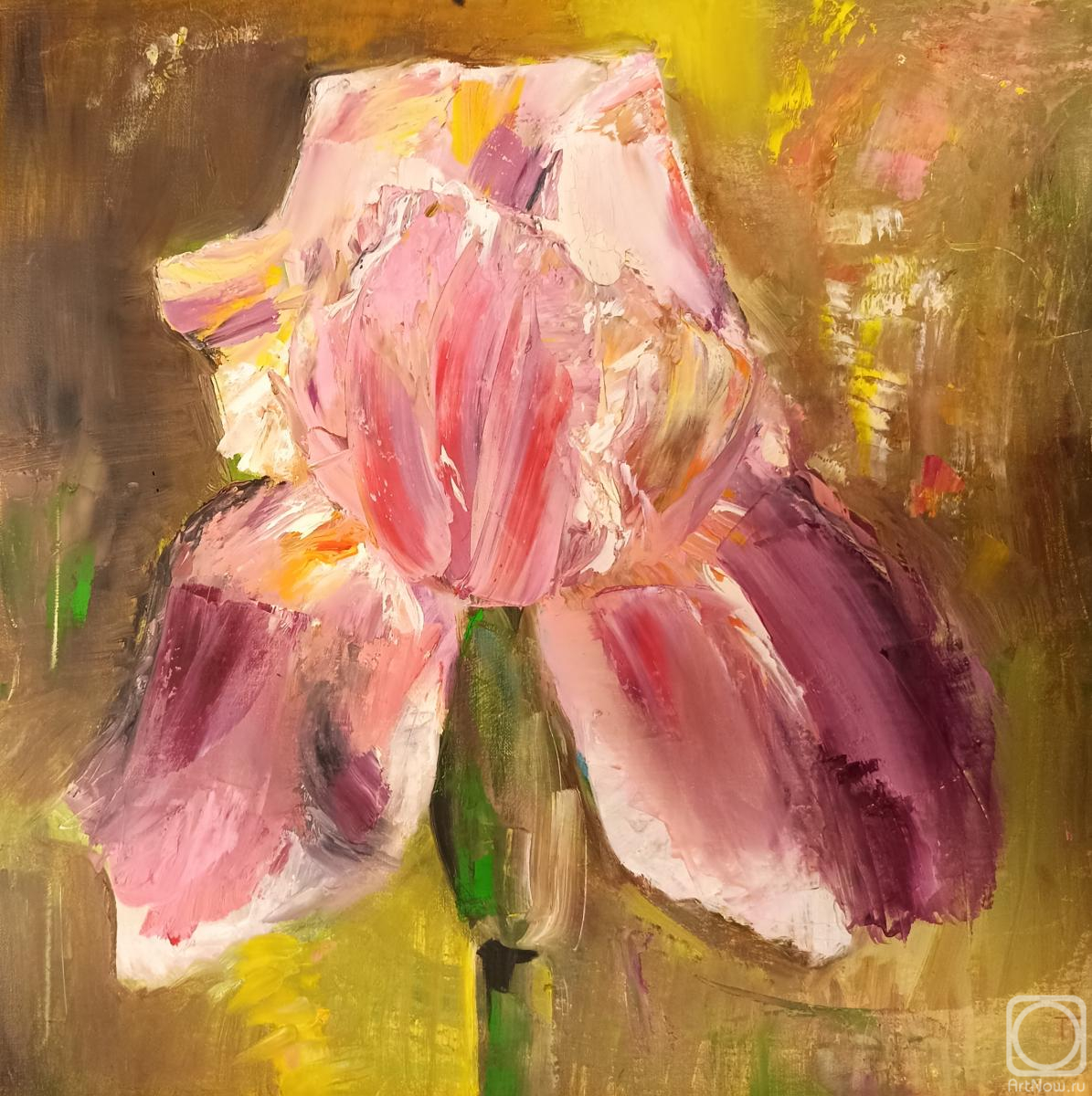 ������� ������ �� ������. ������� ������. ����