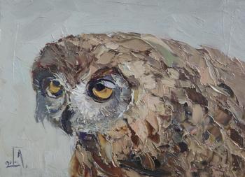 Good morning (An Owl). Golovchenko Alexey