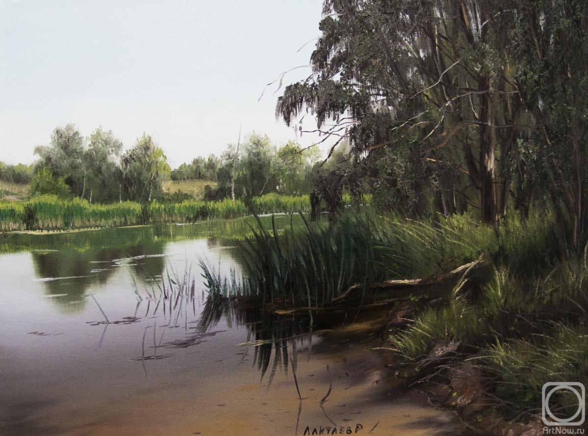 ������� ������ �� ������. ������� �����. ������� ���� �����