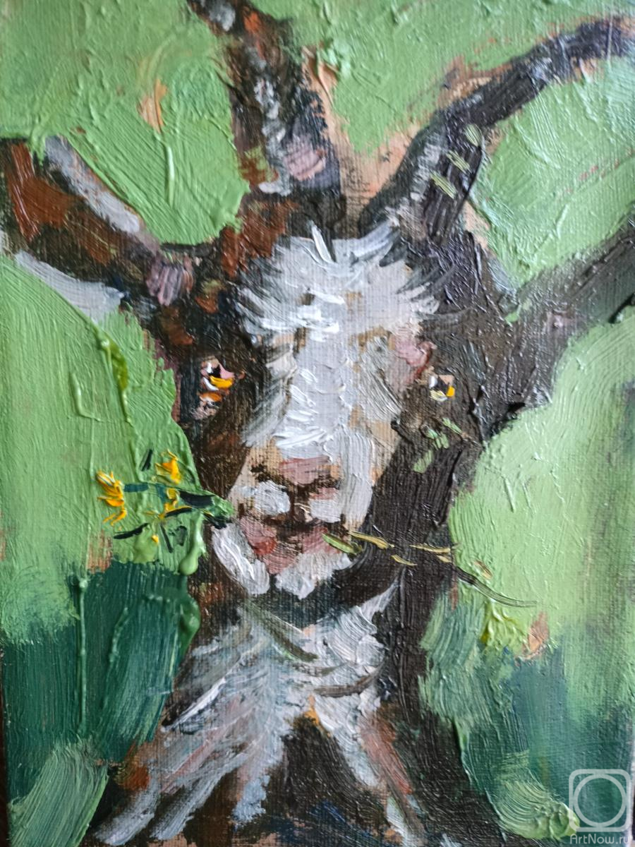 ������� ������ �� ������. ������� �������. ��������