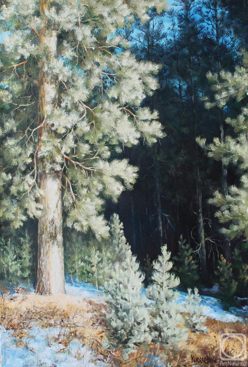 ������� ������ �� ������. ��������� ��������. ������ ���