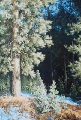 Winter forest. Kiselevich Gennadiy