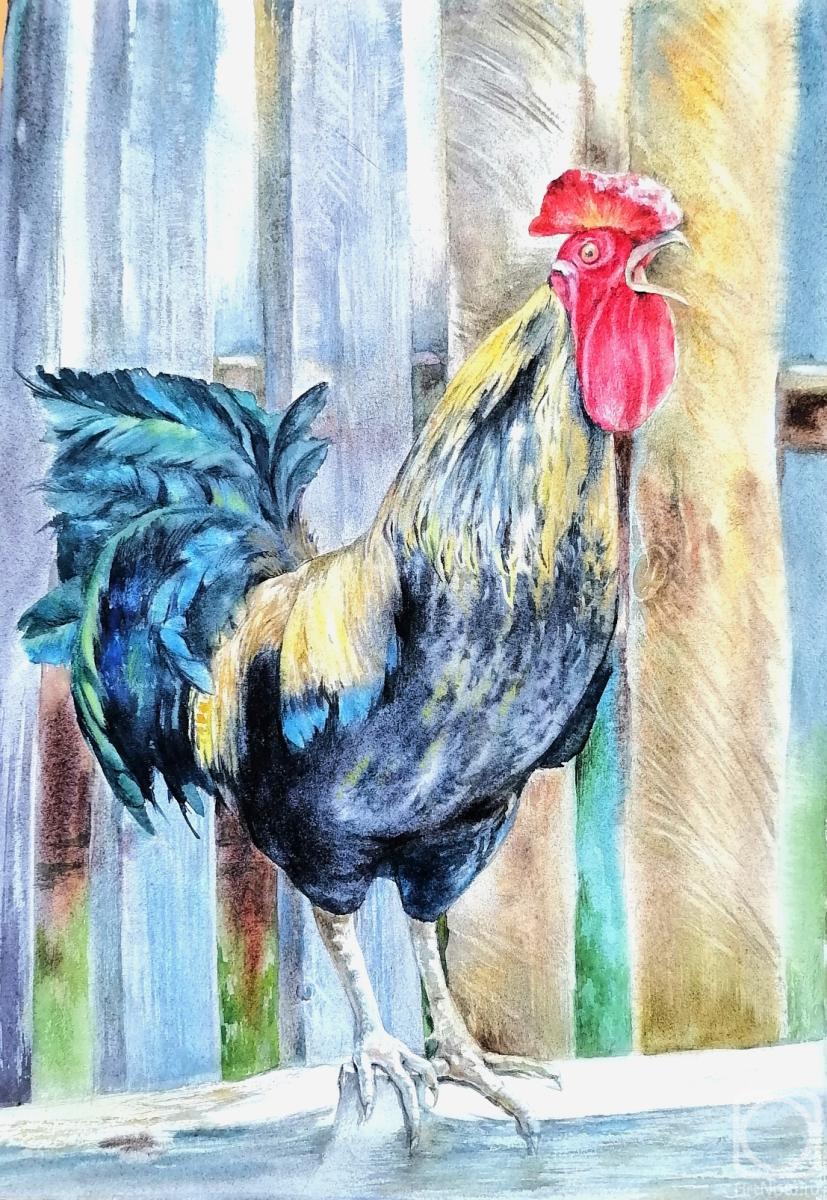 �������. ��������� �������. ������ ����