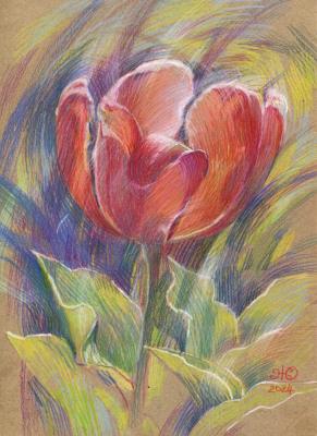 Tulip 2 (Scarlet Flowers). Zhukovskaya Yuliya