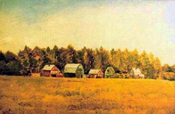 Among the Fields. Dachas 1