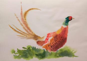 Pheasant